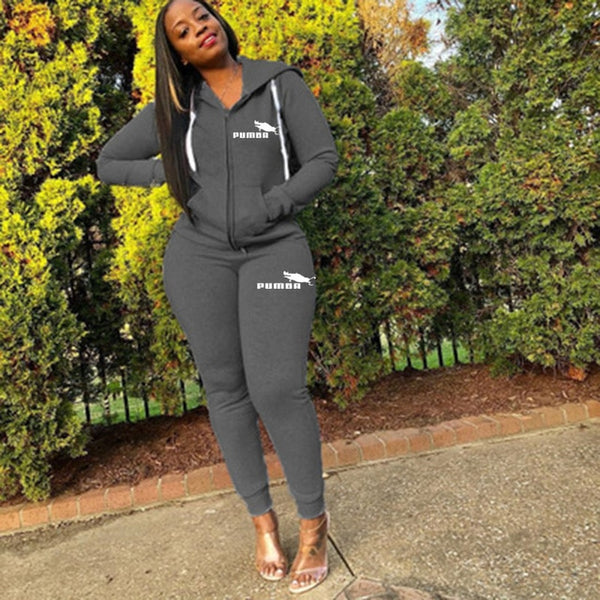 Two Piece Set Women Tracksuit Festival Clothing Fall Winter 2020 Zipper Top+pant Sweat Suits 2 Piece Outfits Matching Sets